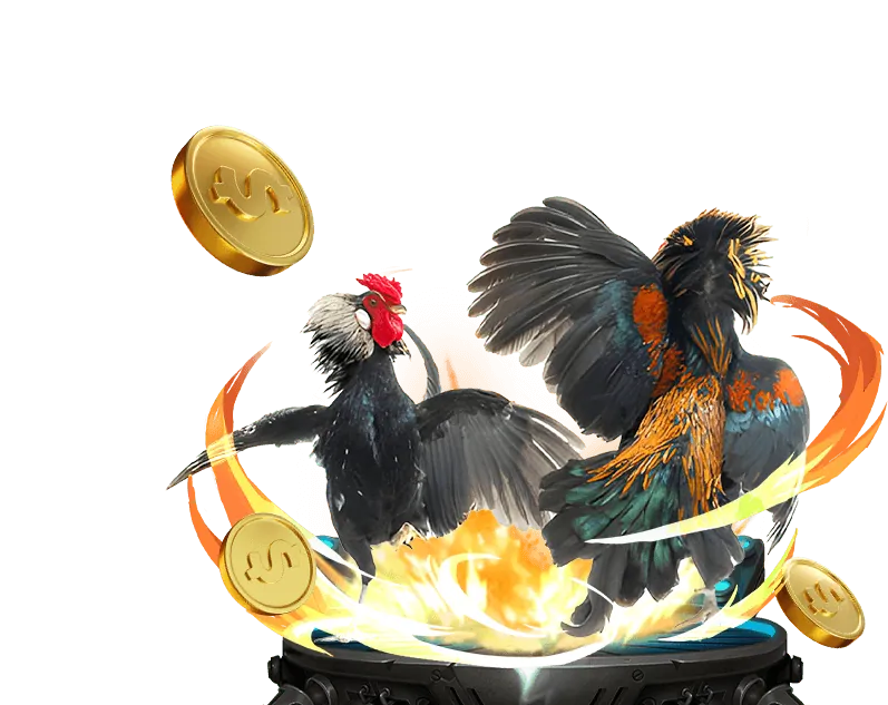 Hình ảnh giới thiệu thương hiệu Vuabai9 uy tín