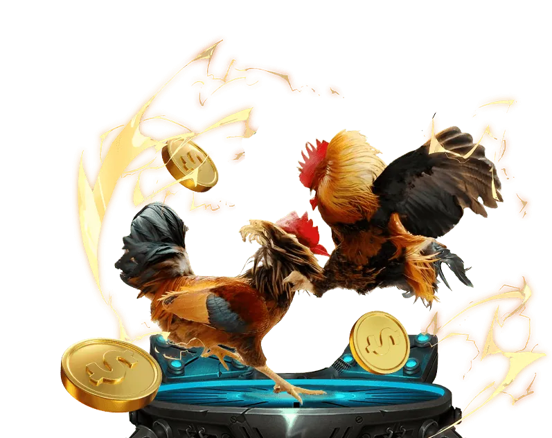 Minh họa các bước đăng ký tài khoản Vuabai9